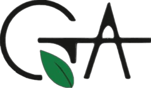 whatsapp image 2026 01 16 at 03.41.19